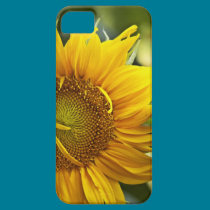 Golden Sunflower casemate cases