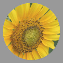 Golden Sunflower stickers
