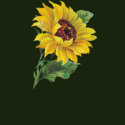 Golden Sunflower t-shirts