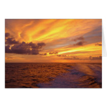 Golden Sunlight card by skphotos Golden Sunlight card