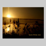 Golden Sunrise Postcards postcards