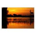 Golden Sunset Behind a Lake posters