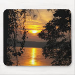 Golden Sunset Between Trees Mouse Pad