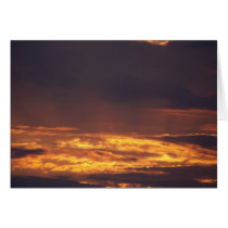 Golden Sunset cards