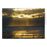 Golden Sunset Greeting Cards
