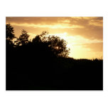 Golden Sunset Postcard