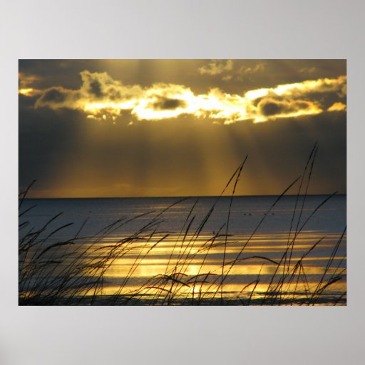 Golden Sunset Posters
