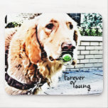 Golden &amp; the Pacifier ("Forever Young") Mousepad