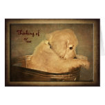 Golden Thoughts Cards