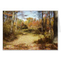 Golden Trail cards