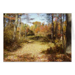 Golden Trail