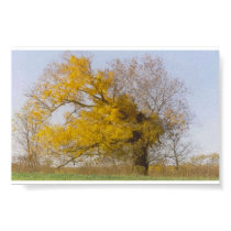 Golden tree posters