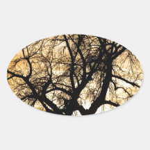 Golden Tree Sunset Silhouette Stickers