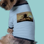 Golden Tropical Sunset and Palm Tree pet clothing