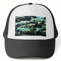 Golden Trout Fish Sea World hats by lifesphere Golden Trout Fish Sea World hats