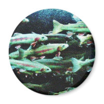 Golden Trout Fish Sea World magnets by lifesphere Golden Trout Fish Sea World magnets