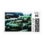 Golden Trout Fish Sea World Postage Stamps