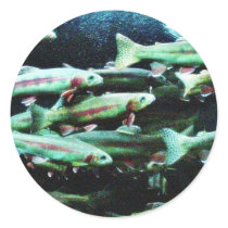Golden Trout Fish Sea World stickers by lifesphere Golden Trout Fish Sea World stickers