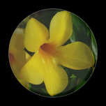 Golden Trumpet Flower Magnet