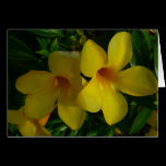 Golden Trumpet Flowers Card
