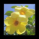 Golden Trumpet Flowers Magnet