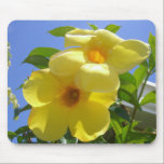 Golden Trumpet Flowers Mousepad
