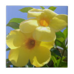 Golden Trumpet Flowers Tile