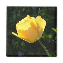 Golden Tulip magnets