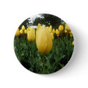 Golden Tulips buttons
