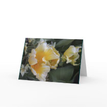 Golden Tulips Greeting Card