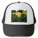 Golden Tulips hats