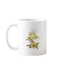 Golden Variegated Jasmine Mugs