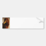 Golden Vulture Bumper Sticker