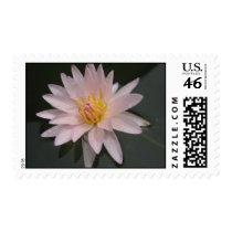 Golden West stamps