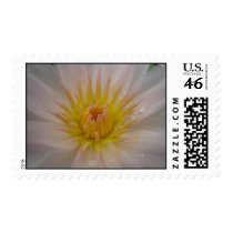 Golden West postage