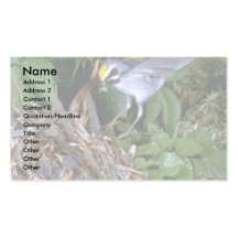 Golden-winged Warbler landing on nest Business Cards