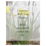 Golden Woodland Daffodils flyers