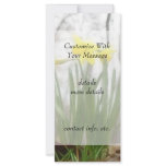 Golden Woodland Daffodils Custom Rack Cards