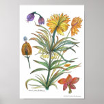 Golden Yellow Flowers 52 Poster-A posters