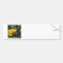 Golden Yellow Rose Bud Bumper Sticker