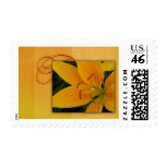 Golden yellow tiger lily for fall Golden yellow tiger lily for fall