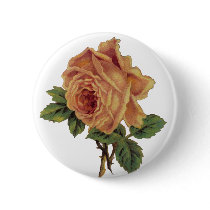 Golden Yellow Vintage Rose Button