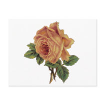 Golden Yellow Vintage Rose Postcard