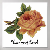 Golden Yellow Vintage Rose Poster