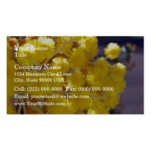 Golden Yellow wattle up close Business Card Template