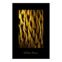 golden zamia posters