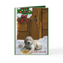 Goldendoodle Christmas Gifts cards