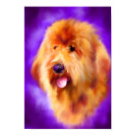 Goldendoodle Fine Art Print