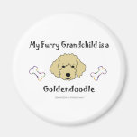 Goldendoodle Fridge Magnet