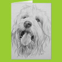 Goldendoodle cards